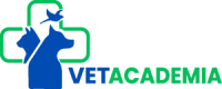 logo - vet academia - green bluew300