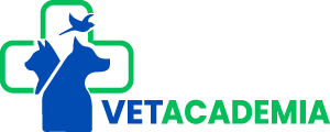 logo - vet academia - green bluew300